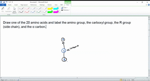 draw-one-of-the-20-amino-acids-and-label-the-amino-group-the-carboxyl-group-the-r-group-side-chain-2