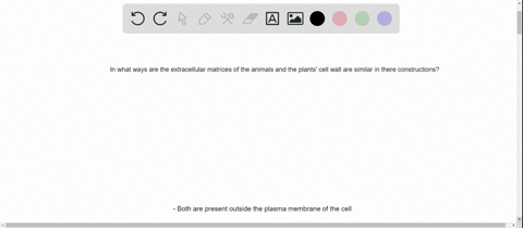in-what-ways-are-the-extracellular-matrices-of-animals-and-the-cell-walls-of-plants-similar-in-const