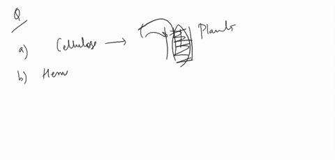 bacterial-cell-wall-is-made-up-of-a-cellulose-b-peptidoglycan-c-hemicellulose-d-pectin
