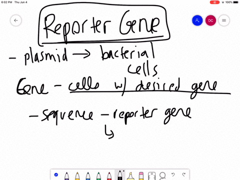 which-of-the-following-is-used-as-a-reporter-gene-in-recombinant-dna-work-with-bacteria-as-host-ce-2