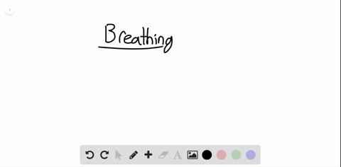 when-you-expand-your-lungs-air-flows-in-explain