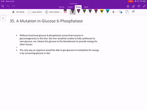 what-would-be-the-effect-on-an-organisms-ability-to-use-glucose-as-an-energy-source-if-a-mutation-in