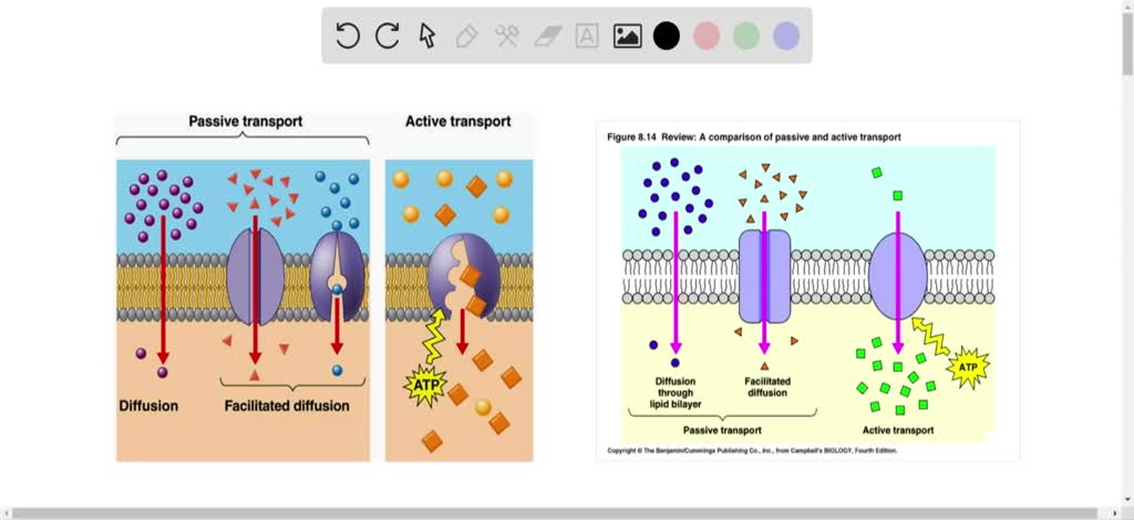 3-types-of-diffusion-plus-examples-for-each