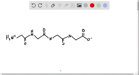 draw-the-structure-of-m-p-v-g-and-indicate-the-amide-bonds