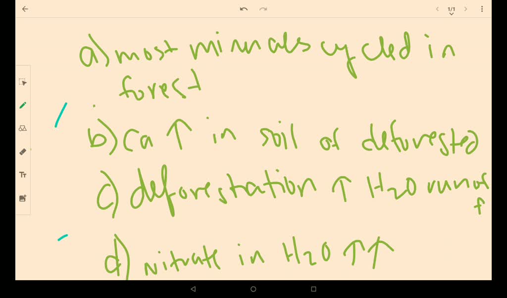 hubbard brook deforestation experiment