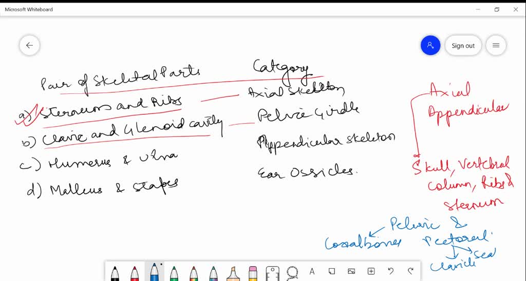 SOLVED: The two divisions of the skeletal system are the a. axial ...