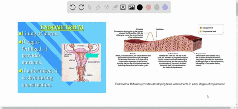 nutrient-and-waste-requirements-for-the-developing-fetus-are-handled-during-the-first-few-weeks-by-a