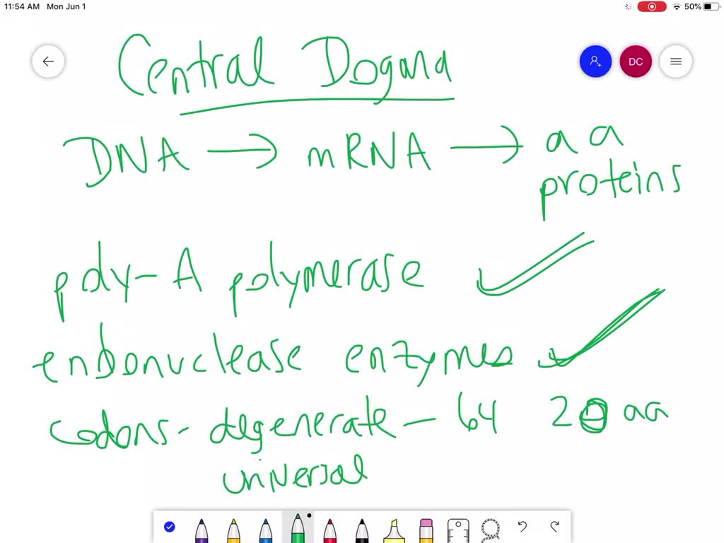 Solved:which Event Contradicts The Central Dogma Of Molecular Biology? A.  Poly-A Polymerase Enzymes Process Mrna In The Nucleus. B. Endonuclease  Enzymes Splice Out And Repair Damaged Dna. C. Scientists Use Reverse  Transcriptase Solved:which Event Contradicts The Central Dogma Of Molecular Biology? A.  Poly-A Polymerase Enzymes Process Mrna In The Nucleus. B. Endonuclease  Enzymes Splice Out And Repair Damaged Dna. C. Scientists Use Reverse  Transcriptase