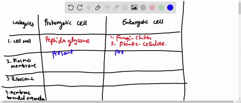 which-of-the-following-is-found-in-eukaryotic-cells-but-not-in-prokaryotic-cells-a-cell-wall-b-plasm
