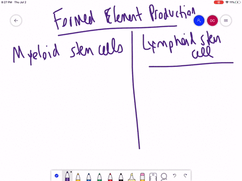 which-of-the-formed-elements-arise-from-myeloid-stem-cells-a-mathrmb-cells-b-natural-killer-cells-c-