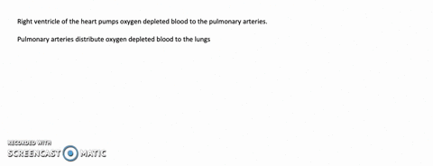 identify-the-ventricle-of-the-heart-that-pumps-oxygendepleted-blood-and-the-arteries-of-the-body-tha