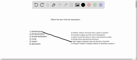 match-the-terms-with-the-most-suitable-description-______-phototropism-_____-photoperiodism-_____-do