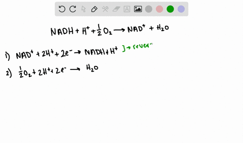 calculate-ecirc-prime-for-the-following-reaction-mathrmnadhmathrmhfrac12-mathrmo_2-rightarrow-mathrm