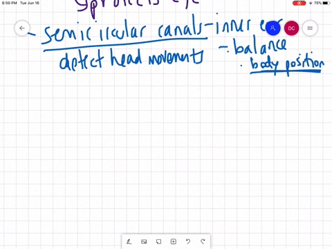 match-each-structure-with-its-description-________rod-cell-________cochlea-________lens-________scle