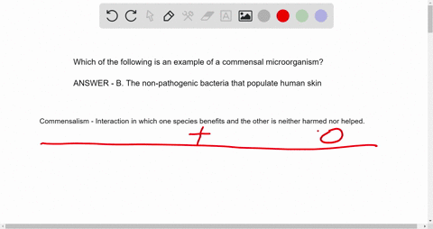 which-of-the-following-is-an-example-of-commensal-microorganisms-a-the-bacteria-in-the-gastrointesti