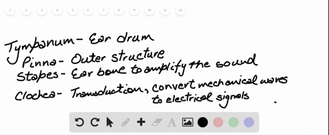 the-_____-contains-receptors-for-transduction-of-mechanical-waves-to-produce-electrical-signals-a-ty