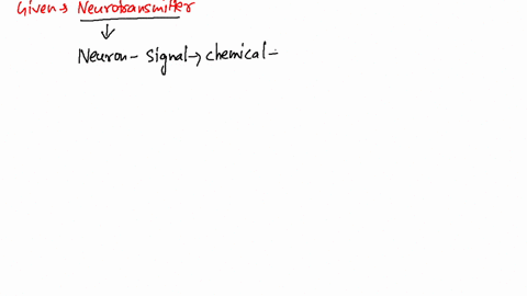 give-two-mechanisms-by-which-neurotransmitters-exert-their-effects