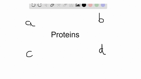 at-what-level-of-protein-structure-do-multiple-polypeptide-chains-interact-a-primary-b-secondary-c-2