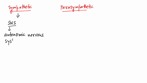 how-do-the-sympathetic-and-parasympathetic-divisions-differ-in-the-locations-of-the-ganglionic-neuro
