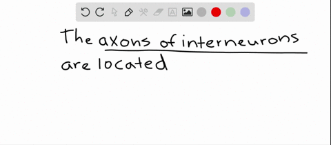 you-would-find-the-axons-of-interneurons-____________-a-in-the-brain-b-in-the-spinal-cord-c-in-auton