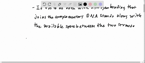why-are-there-no-base-pairs-in-dna-between-adenine-and-guanine-or-thymine-and-cytosine-173