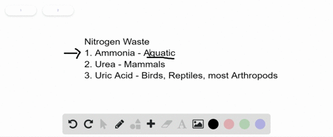 beginarrayltext-a-uric-acid-text-b-urea-text-c-ammonia-endarray-excreted-by-the-digestive-tracts-of-