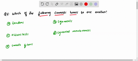 which-of-the-following-connects-bones-to-one-another-a-tendons-b-ligaments-c-osteoclasts-d-synovial-