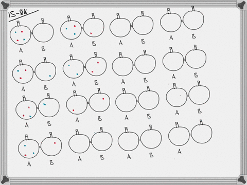 suppose-you-have-two-identical-red-molecules-labeled-mathrma-and-mathrmb-and-two-identical-blue-mo-2