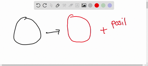 draw-the-nucleus-that-emits-a-positron-particle-to-complete-the-following-figure-162