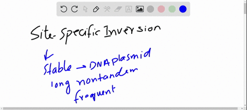 most-wild-strains-of-s-cerevisiae-have-multiple-copies-of-the-circular-dna-plasmid-2-mu-named-for-it