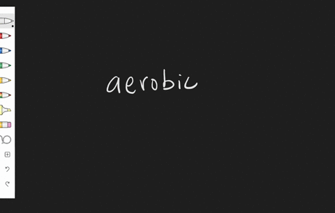 define-each-vocabulary-term-in-a-complete-sentence-aerobic