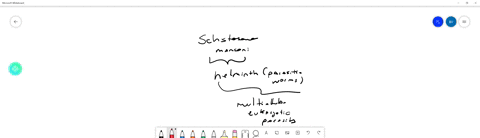 he-larval-form-of-schistosoma-mansoni-uses-a-____________-to-help-it-gain-entry-through-intact-skin
