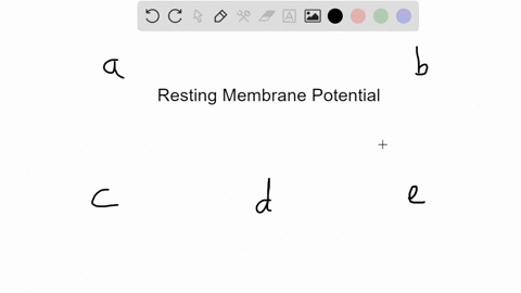 the-resting-membrane-potential-in-neurons-requires-a-membrane-transport-channels-to-be-constantly-op