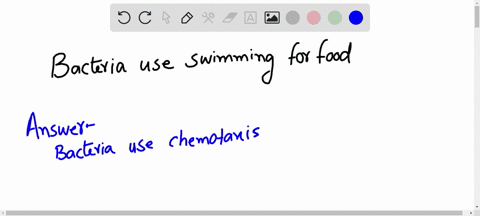 bacteria-use-swimming-to-seek-out-food-imagine-that-the-bacterium-is-in-a-region-of-low-food-concent