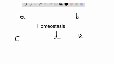 blood-is-associated-with-which-of-the-following-forms-of-homeostasis-a-nutrient-supply-to-the-body-2