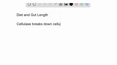 which-minnows-herbivorous-or-carnivorous-should-exhibit-higher-cellulase-activity-in-the-gut-explain