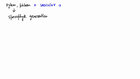 SOLVED:Why did xylem and phloem evolve only in the sporophyte generation?
