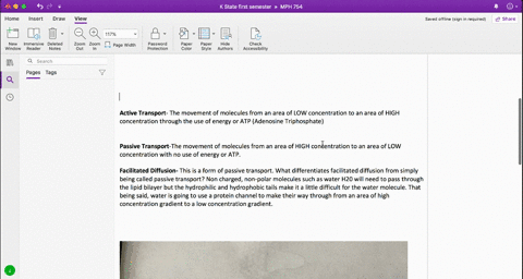 which-of-the-following-is-incorrect-regarding-facilitated-diffusion-a-it-is-a-passive-process-b-it-a
