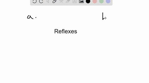 what-is-the-term-for-a-reflex-that-does-not-include-a-cns-component-a-long-reflex-b-visceral-reflex-