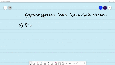 which-of-the-following-gymnosperms-has-branched-stems-a-pinus-b-mathrmcycas-c-cedus-d-both-a-and-c