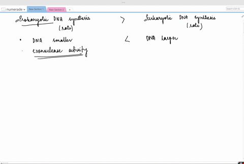 is-dna-synthesis-likely-to-be-faster-in-prokaryotes-or-in-eukaryotes-2