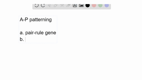 suppose-you-isolate-a-mutation-affecting-a-p-patterning-of-the-drosophila-embryo-in-which-every-ot-2