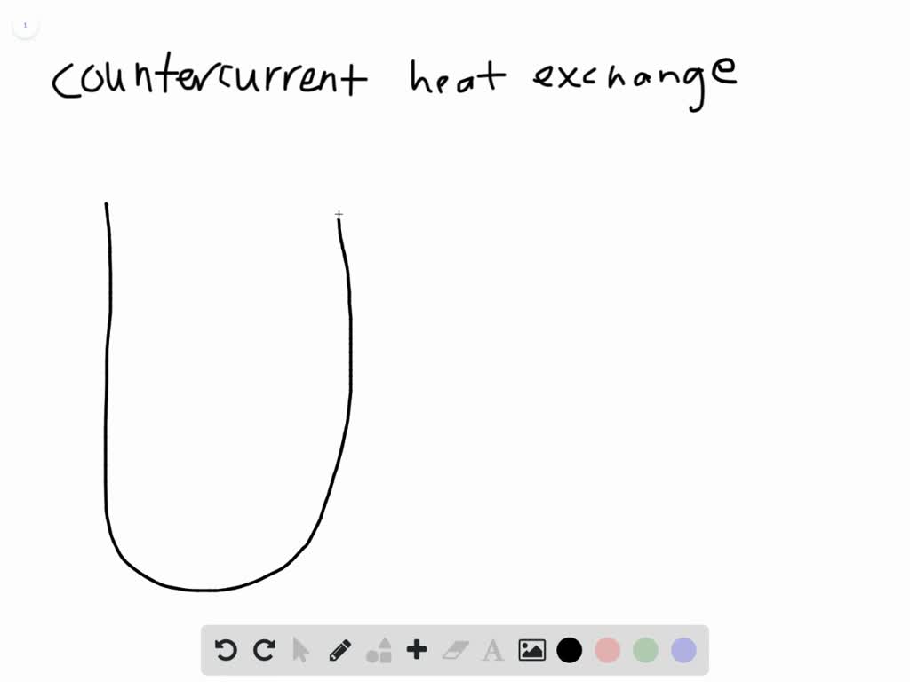 SOLVEDDolphins have an insulating layer of blubber that protects them