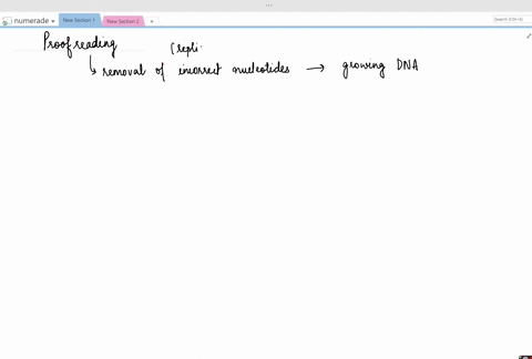 how-does-proofreading-take-place-in-the-process-of-dna-replication-2