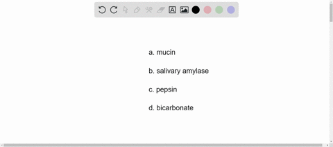 all-of-the-following-are-found-in-saliva-except-a-mucin-b-salivary-amylase-c-pepsin-d-bicarbonate