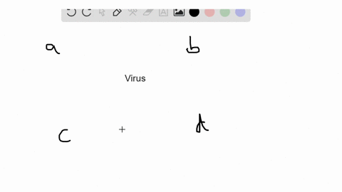 a-virus-contains-which-of-the-following-a-a-cell-wall-b-a-plasma-membrane-c-nucleic-acid-d-cytoplasm