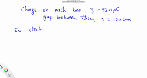 suppose-two-bees-each-with-a-charge-of-930-mathrmpc-are-separated-by-a-distance-of-120-mathrmcm-tr-2
