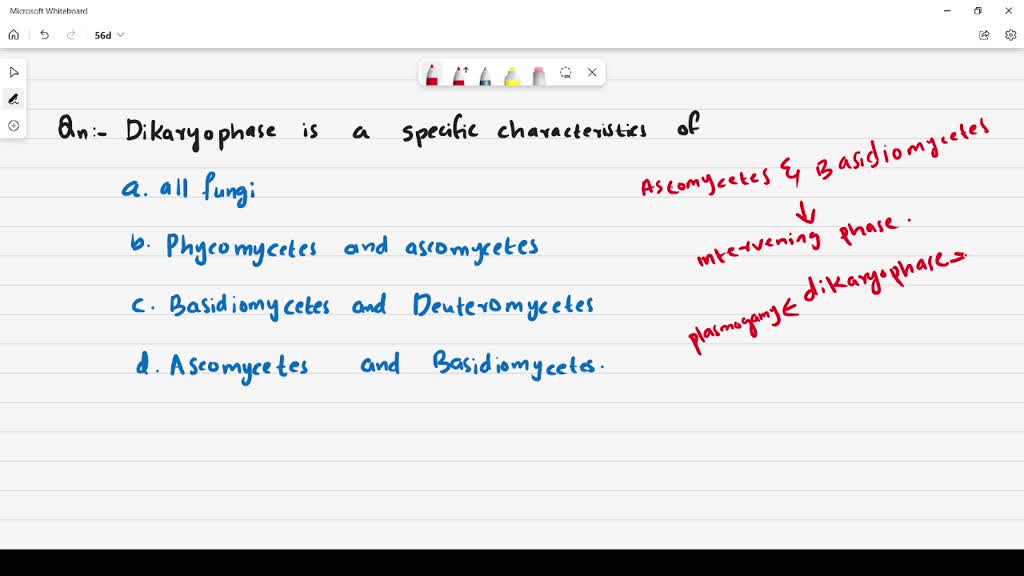 difference-between-dikaryon-and-dikaryophase-brainly-in