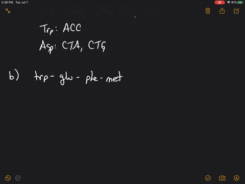 the-base-sequences-in-mrna-that-code-for-certain-amino-acids-are-glu-gaa-gag-val-guu-guc-gua-gug-met