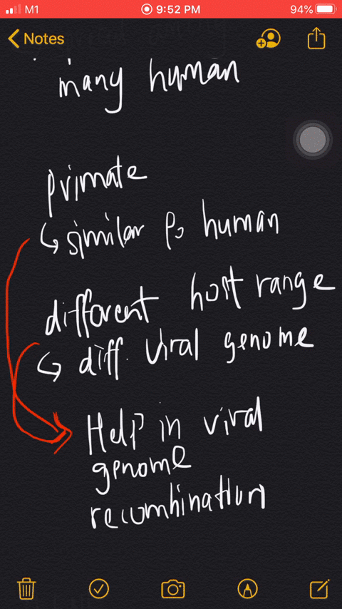 to-cause-a-human-pandemic-the-h5n1-avian-flu-virus-would-have-to-a-spread-to-primates-such-as-chimpa
